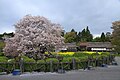 静岡県の画像