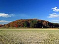 2013年12月9日 (月) 03:56時点における版のサムネイル