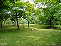 奈良公園 01.JPG