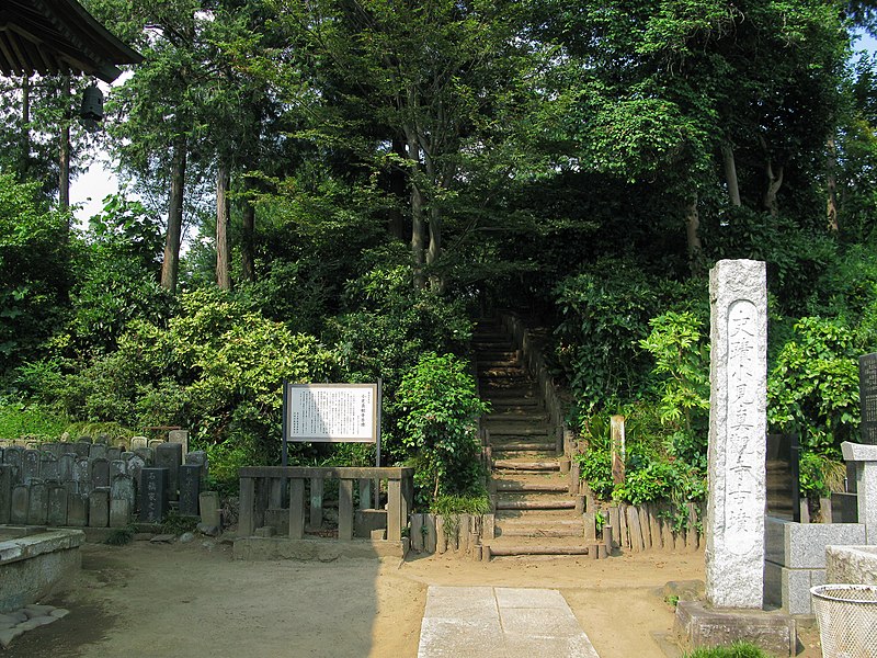 ファイル:Gyoda Omishinkanji Tumulus 1.JPG