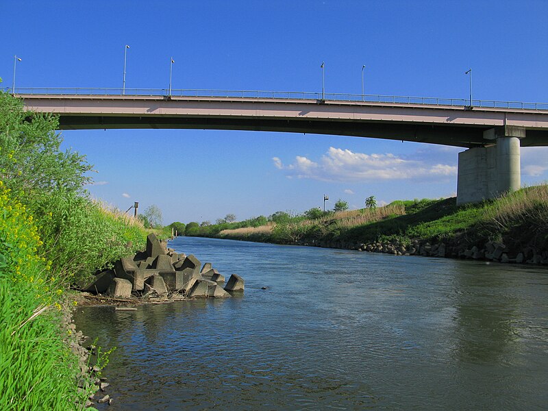 ファイル:Okegawa Ara River And Tarouemon Bridge 1.JPG