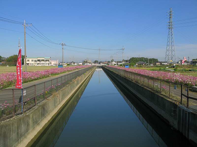 ファイル:Kazo Kasai Canal And Cosmos Fureai Road 1.JPG