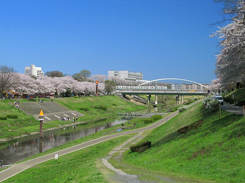 ファイル:Nagareyama Tone Canal In Spring 1.JPG