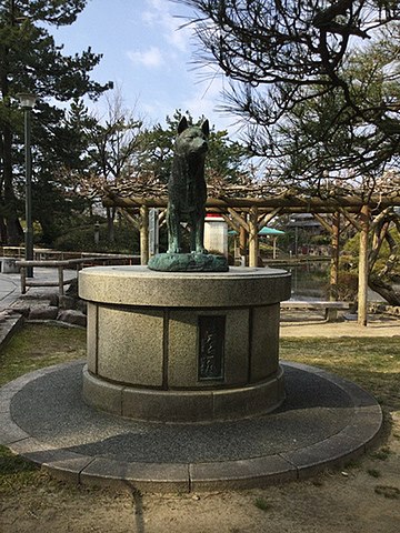 ファイル:Tama-ko Hakusan Park March2021.jpeg