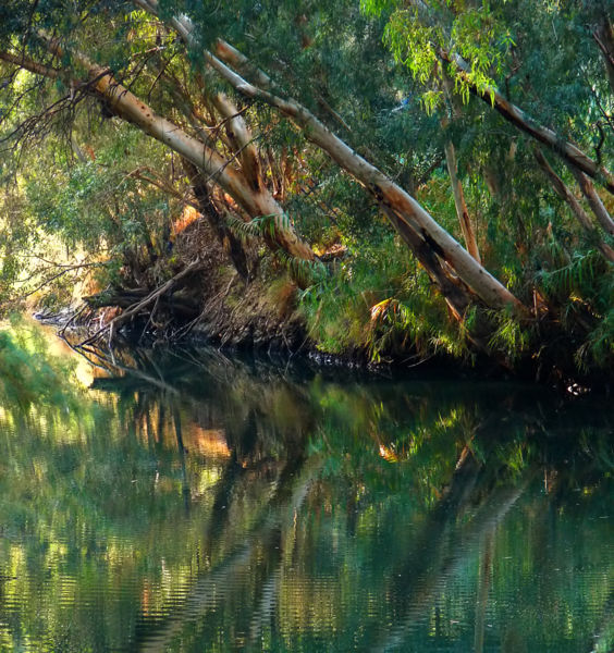 Barkas:Jordan River 2.jpg