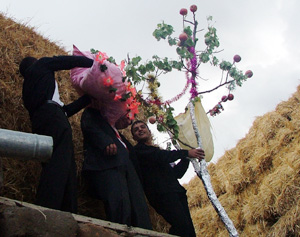 ფაილი:Yazidi Wedding Tree Pillow.jpg