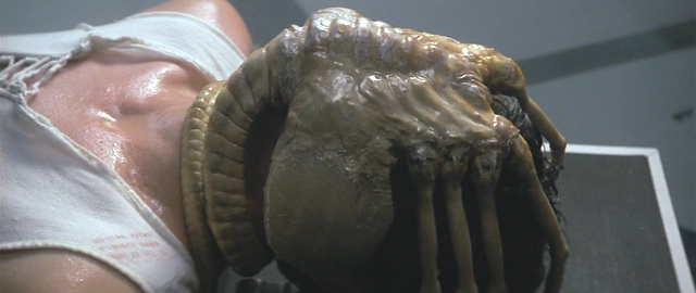 ფაილი:Alien-The Facehugger.png