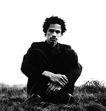 ფაილი:Eagle-eye cherry.jpg