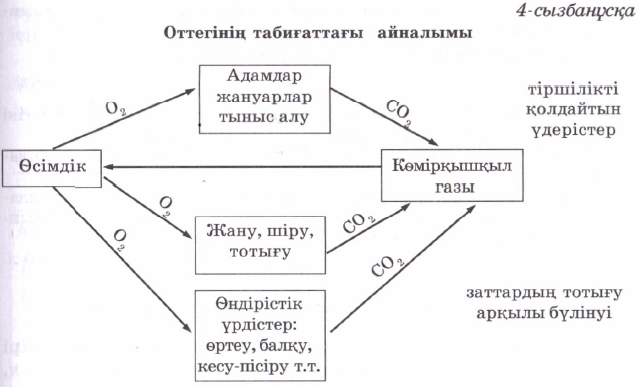 Табиғаттағы су айналымы. Оттек химиялық элемент. Оттек элементті. Көміртек формула.