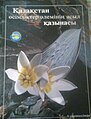 20:12, 2011 ж. қарашаның 24 кезіндегі нұсқасының нобайы