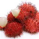 ឯកសារ:Rambutan1.jpg