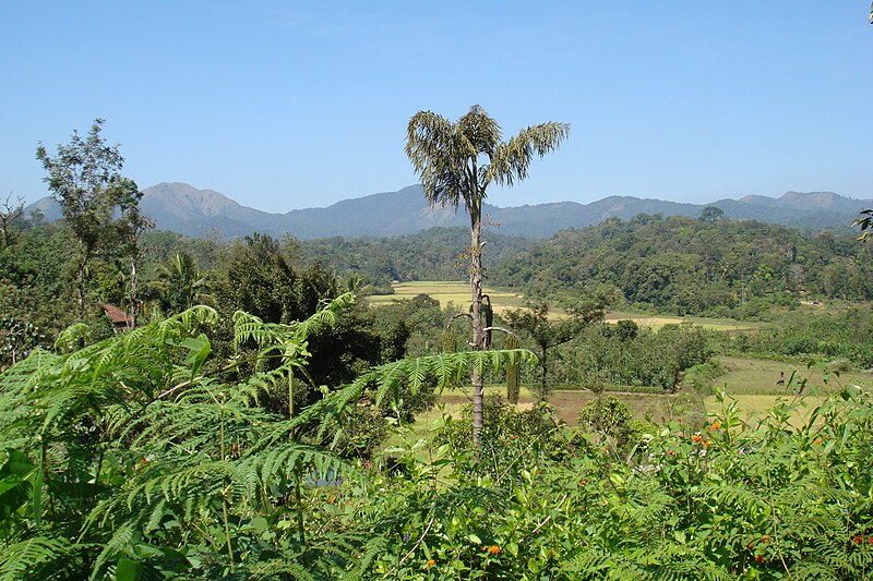 ಚಿತ್ರ:Bramagiri Hill Ranges.JPG