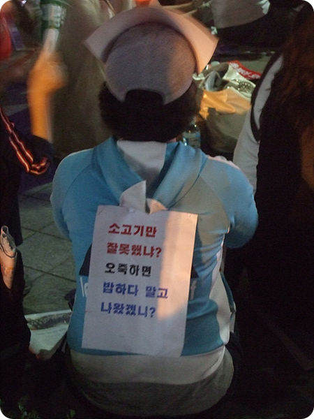 파일:AntiMBProtest8.jpg