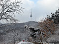 Seoul-Mount Nam-02.jpg