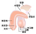 2005년 4월 9일 (토) 04:12 판의 섬네일