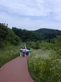 Seoul-Gildong Nature Park-07.jpg