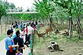 Seoul Forest-Zoological Forest-01.jpg