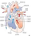 2010년 1월 11일 (월) 19:47 판의 섬네일