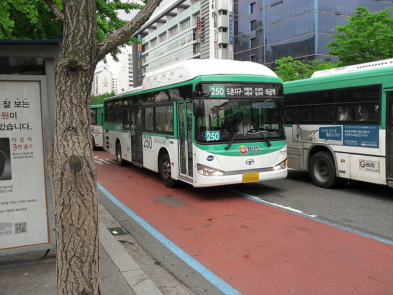 파일:성남시내버스 250번 뉴 BS110 로얄논스텝 페이스리프트 NGV.jpg