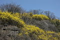 Seoul-Mount Eungbong in Spring-14