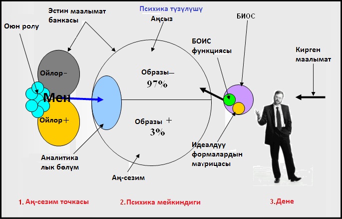 Структура психики схема