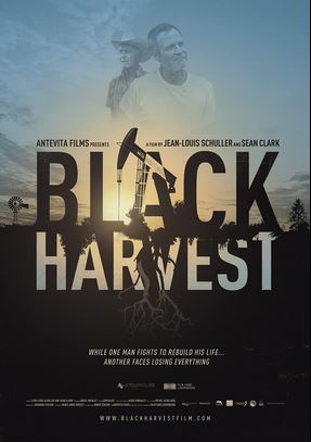 Fichier:Affiche Black Harvest.jpg