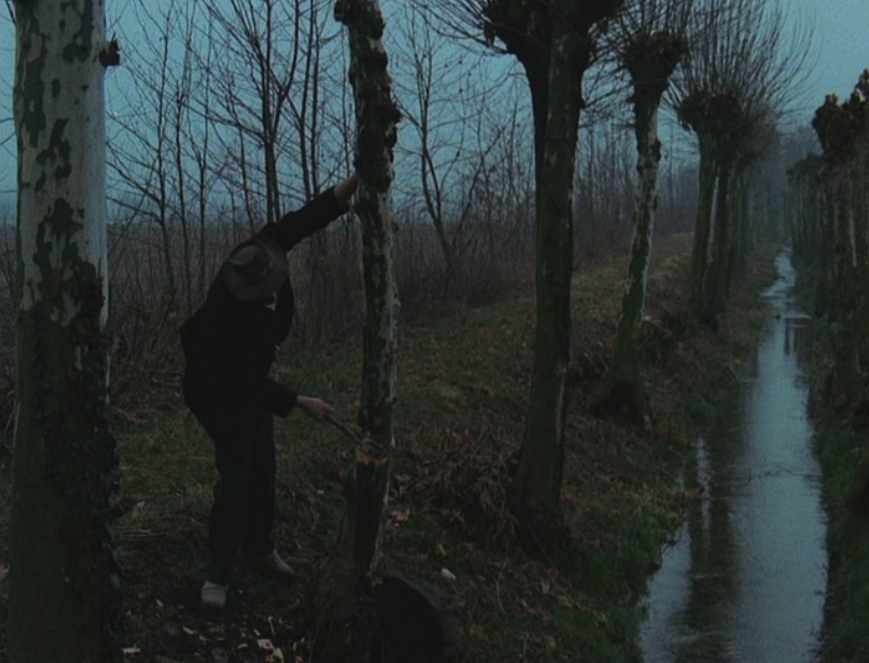 Escenas que detuvieron el tiempo la primera vez que las presenciaste... - Página 8 L'albero_degli_Zoccoli_El_tai_de_l'albor