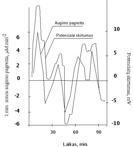 Vaizdas:AugimoElReiskiniai.png