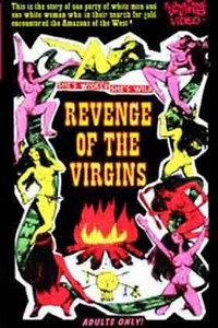 Vaizdas:RevengeoftheVirgins.jpg