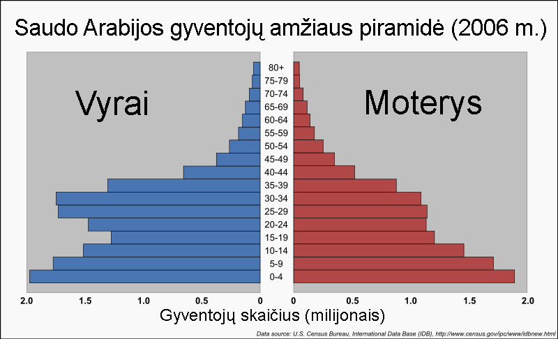 Vaizdas:Saudo Arabijos amžiaus piramidė2.png