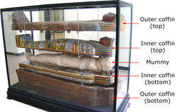 Vaizdas:Mummy cases annotated.jpg