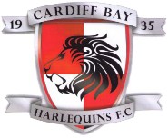 Vaizdas:Cardiff Bay Harlequins.jpg