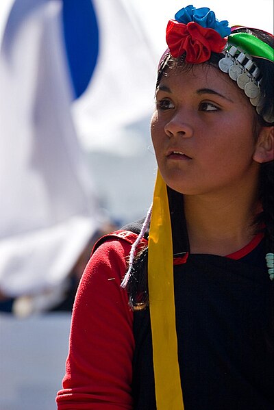 Vaizdas:Mapuche.jpg