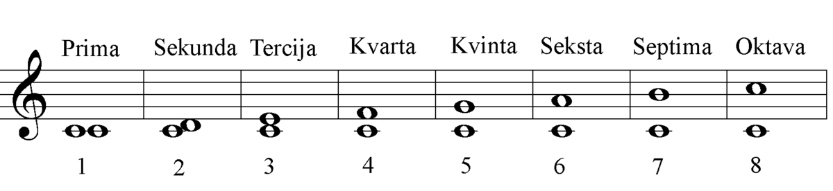 Прима октава