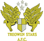 Treowen Stars FC logo.png
