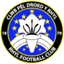 Miniatiūra antraštei: Rhyl FC