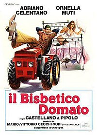 Il bisbetico domato (1980 Film).jpg