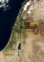 Palestinos regionai.jpg