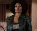 Miniatiūra antraštei: Pam Grier