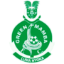 Miniatiūra antraštei: Green Mamba FC