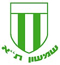 Miniatiūra antraštei: Shimshon Tel Aviv FC