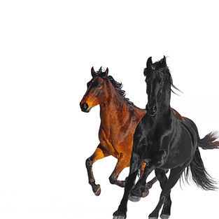 Attēls:Old Town Road Remix cover.jpg