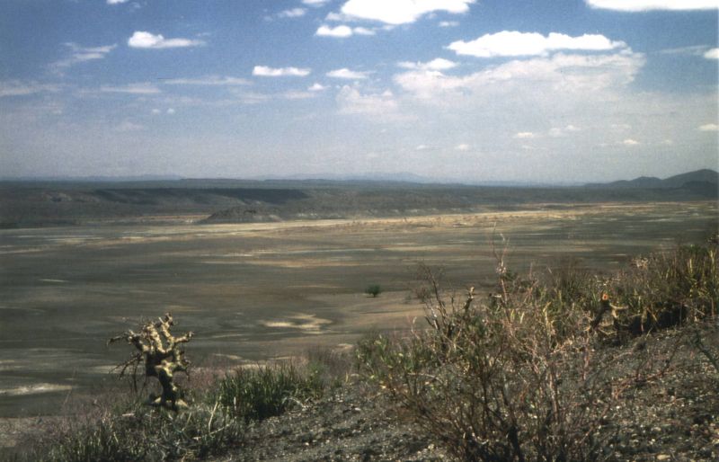 Attēls:Lake magadi.jpg