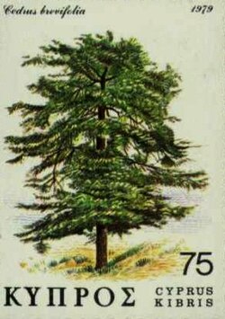 Kipras ciedrs (Cedrus brevifolia) uz Kipras pastmarkas