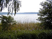 Gulbju ezers pie Spāres.jpg