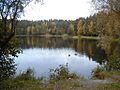 Dambjapurva ezers Rīgā.jpg