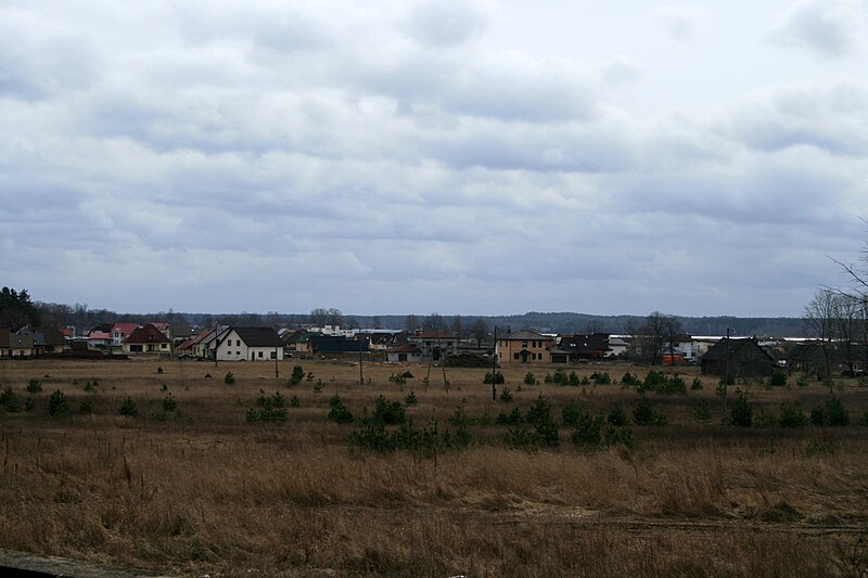 Attēls:Daugava 25.02.2008.jpg