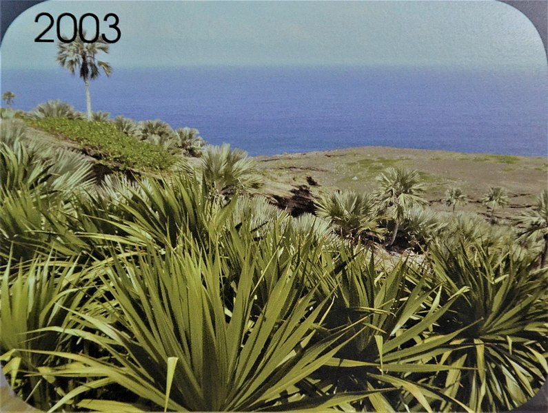 Attēls:Round Island Mauritius 2003.JPG