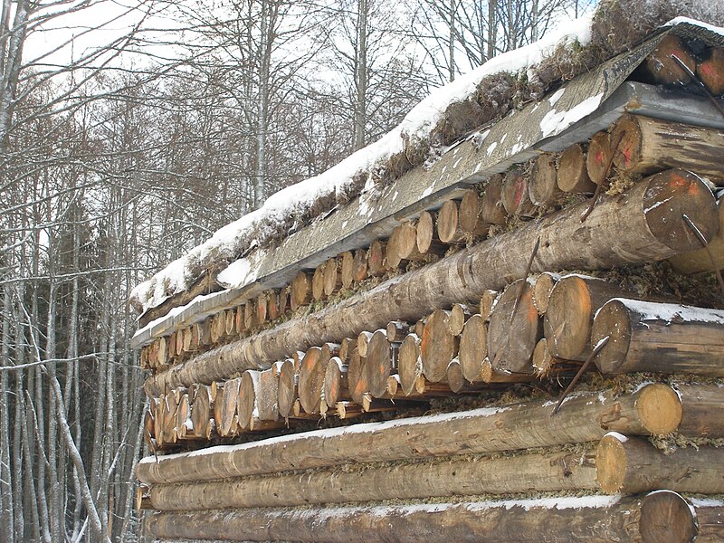 Attēls:Blindaazhas paarsegums.jpg