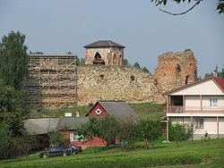 Vastselīnas pils drupas 2010. gadā